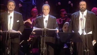 sleigh和sledge的区别?