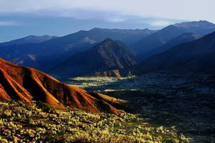 描写梨花盛开的美景怎么写?