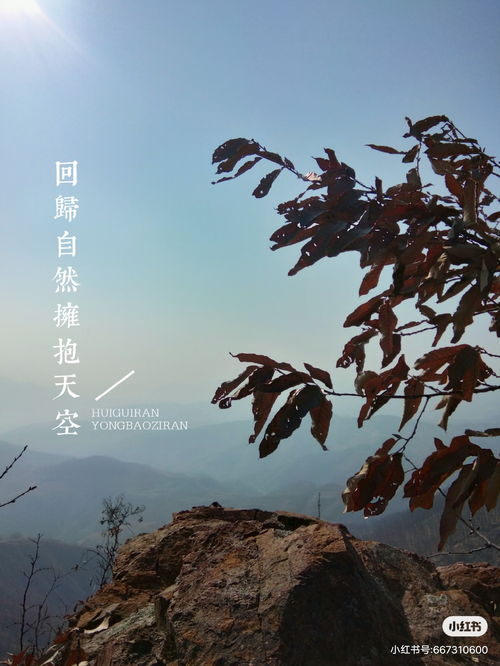 风云突变是什么生肖，风云突变的近义词