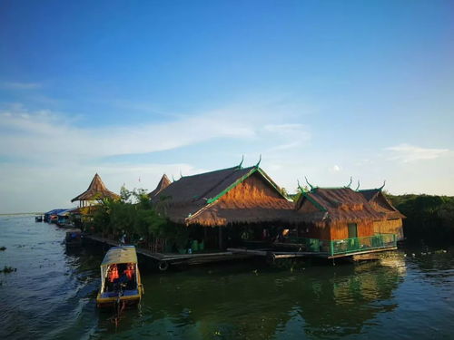 判断洞里萨湖是淡水湖的主要依据