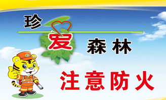 森林防火征文800字高中，森林防火征文800字获奖征文