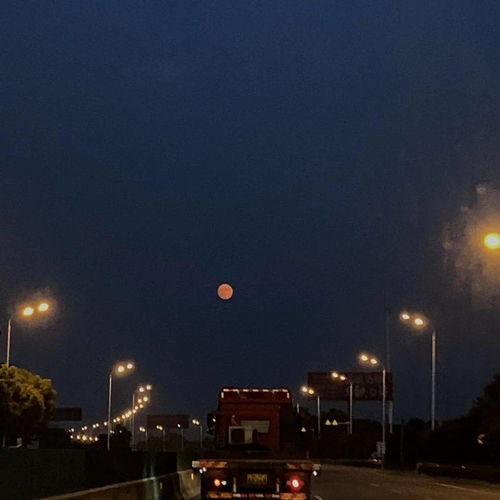 独在异乡为异客每逢佳节倍思亲的全文是什么