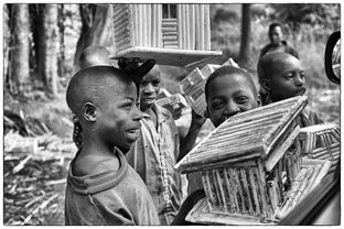 褴褛筚路，褴褛猫多少钱一只