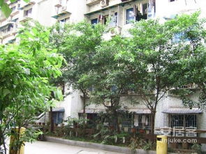 杏园在古代指什么，杏园中学