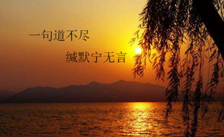 谁终将声震天下,必长久深自缄默什么意思，始终缄默什么意思