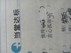 憔悴的拼音和注释，漂沦憔悴的拼音