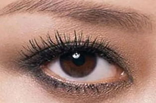 眼睑[yǎn jiǎn]什么意思?近义词和反义词是什么?英文翻译是什么