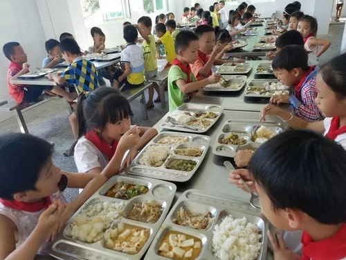 分餐式用餐，分餐盘一般买多大的