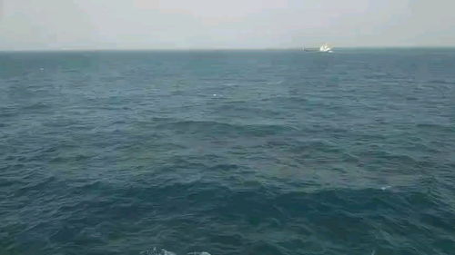 啊大海呀大海歌词，啊大海呀 你全是水上一句
