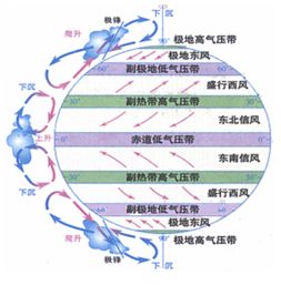 地理的三圈环流什么是三圈环流