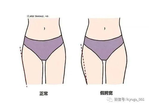 宽大房车，宽大造句子二年级