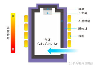 EVT, DVT, PVT都是什么意思?