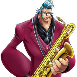 弗兰奇声优，弗兰奇和罗宾是官配吗