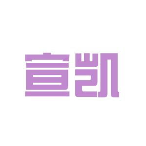 Analyst 代表什么意思??