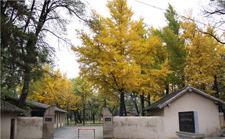 枣园革命旧址讲解词，枣园图片