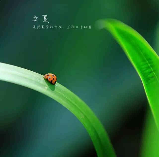 2023年入夏时间是几月几号