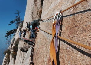 悬什么绝什么的词语，悬什么什么决