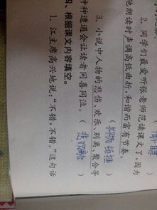 响组词和读音，罚组词