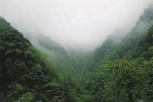 朝晖夕阴,气象万千，朝晖夕阴怎么理解