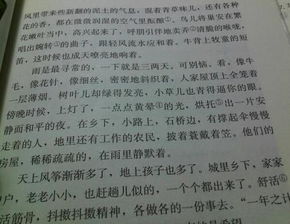给予作文600字初中，给予作文300字