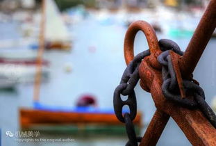 铁风筝的乐队成员