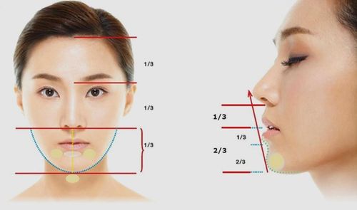 下巴的拼音声调