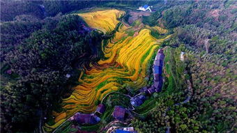 广东省潮州市枫溪区管理委员会属于哪个市哪个区