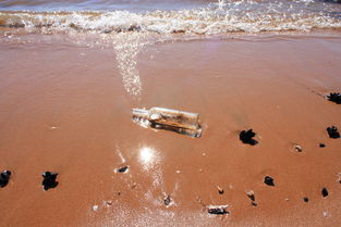 冲洗的近义词。