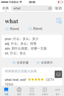 what for什么