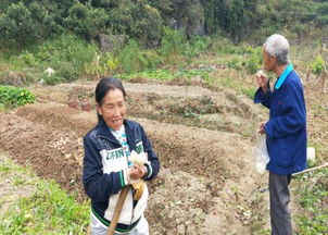 田里面挖来的土可以直接种花吗?