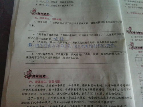描写菊花姿态的语段