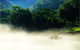 宁移白首之心的宁读音，宁移白首之心 不坠青云之志翻译