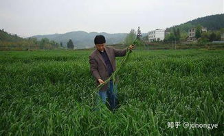 田土土组合是什么字，田土狗虫