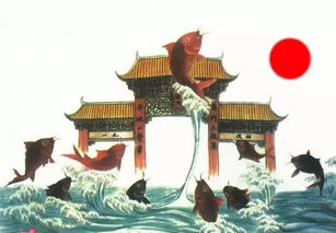 鲤鱼越龙门寓意