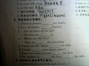 问题的英语怎么说