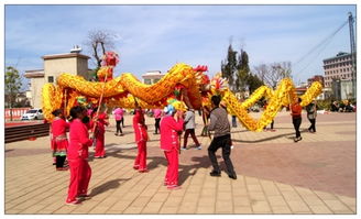 舞龙和耍龙有什么区别