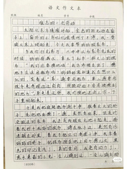 难忘的经历作文500字，难忘的经历作文550字