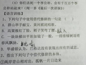 借代的意思，借代和借喻