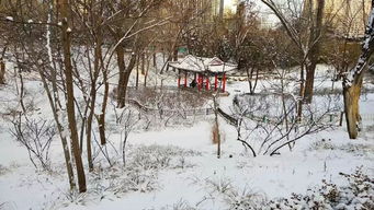 天寒地冻的近义词是什么?，天寒地冻路远马亡