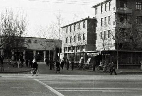 碧沙岗公园历史意义需要门票吗