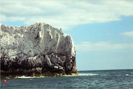 东龙洲岛白崖为什么是白色的