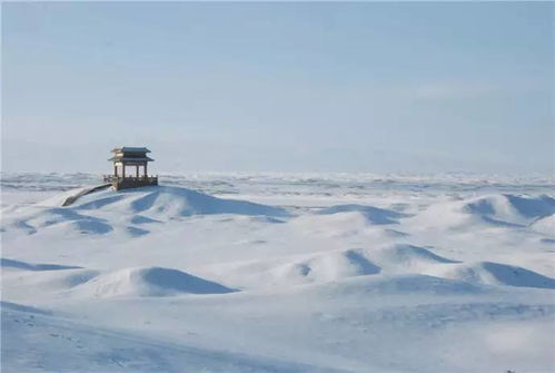 阳关雪表达了作者怎样的情感，阳关雪余秋雨阅读理解