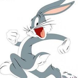 aj兔八哥图片，兔八哥图片简笔画