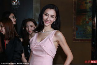 张柏芝资料个人资，张柏芝各人资料