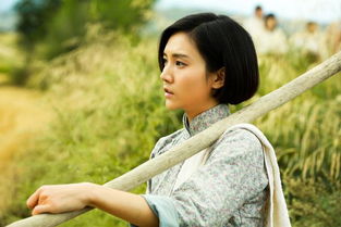 庆云县赵凤哪里人