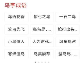 鸟字开头的成语大全