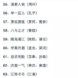 史的成语100个，铁什么什么史的成语