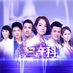 爱的妇产科第一季剧情简介，爱的妇产科第一季第十二集