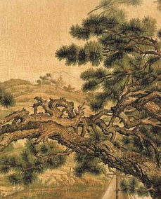 明月皎夜光表达的思想感情，古诗十九首明月皎夜光