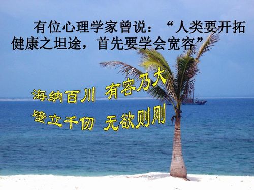 宽容议论文素材，宽容张信哲